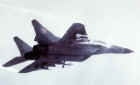 mig-29-8697.jpg (19541 bytes)