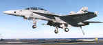 F-18f1.jpg (25915 bytes)