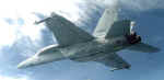 F-18fun.jpg (19422 bytes)